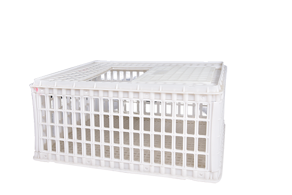 禽類(lèi)-雞籠方籠Q124